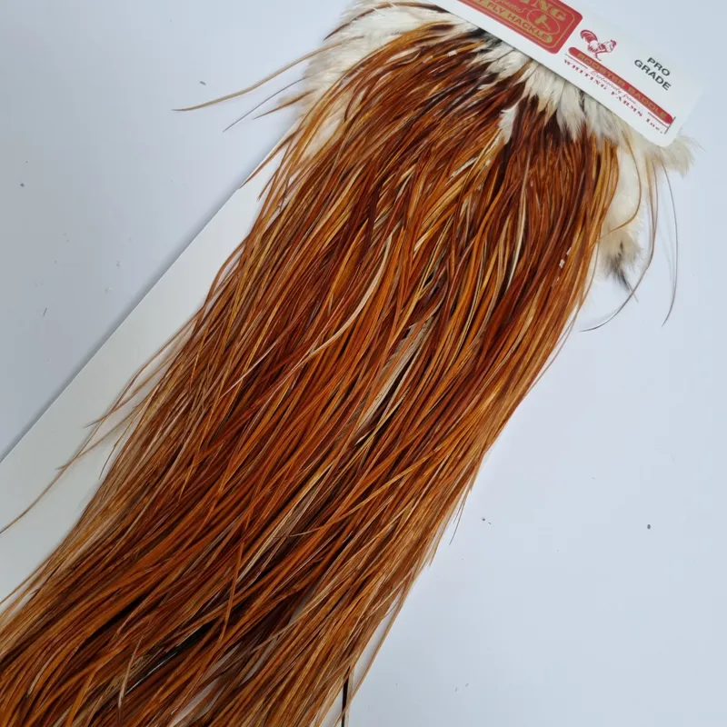 1 Dozen - Short Unique Ginger Grizzly Whiting Farm Rooster Saddle Hair  Extension Feathers