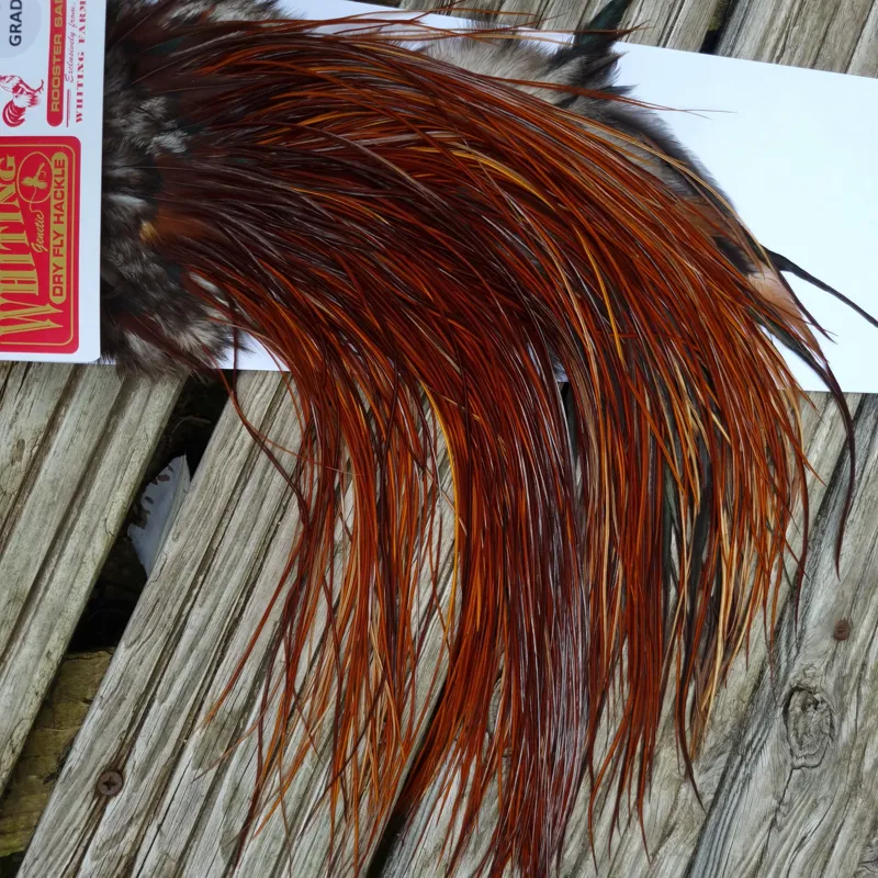 Whiting Pro-Grade Midge Rooster Saddle in Brown Medium to Dark Red Game A approx tying sizes Stuffed with 16/18/20/22/24/26 and out of sight-7