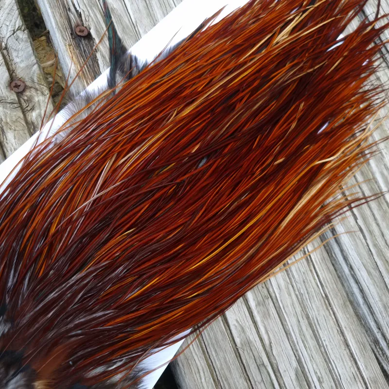 Whiting Pro-Grade Midge Rooster Saddle in Brown Medium to Dark Red Game A approx tying sizes Stuffed with 16/18/20/22/24/26 and out of sight-11