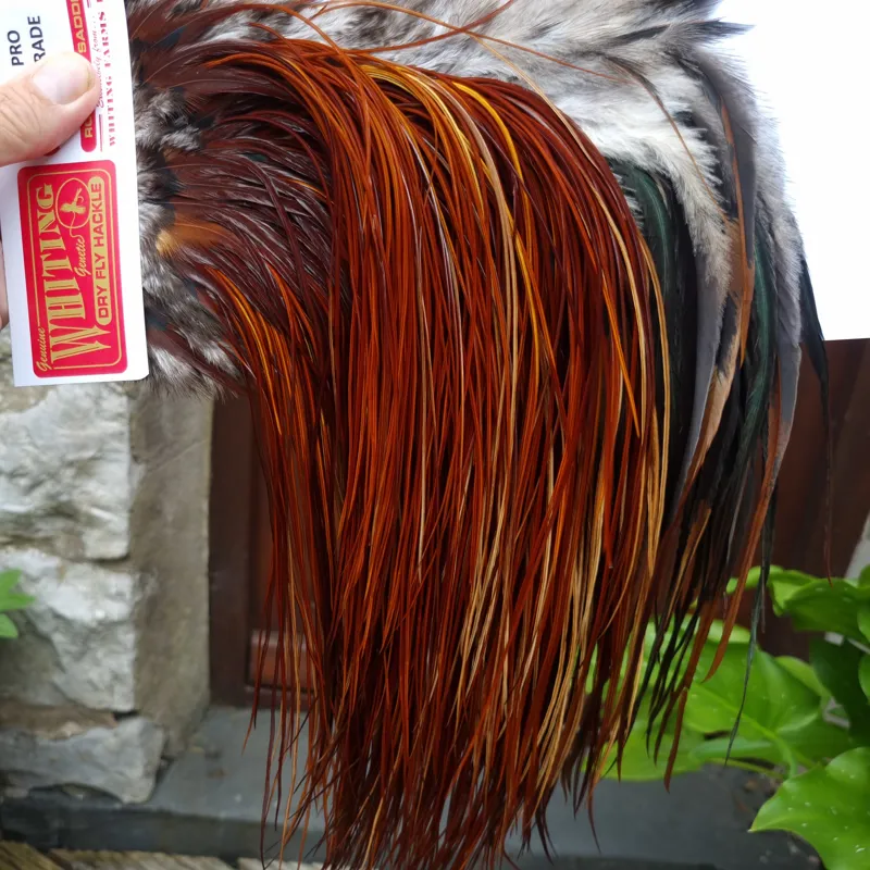 Whiting Pro-Grade Midge Rooster Saddle in Brown Medium to Dark Red Game A approx tying sizes Stuffed with 16/18/20/22/24/26 and out of sight