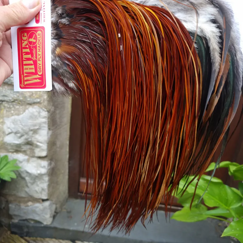 Whiting Pro-Grade Midge Rooster Saddle in Brown Medium to Dark Red Game A approx tying sizes Stuffed with 16/18/20/22/24/26 and out of sight-6