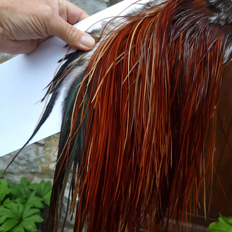 Whiting Pro-Grade Midge Rooster Saddle in Brown Medium to Dark Red Game A approx tying sizes Stuffed with 16/18/20/22/24/26 and out of sight-8