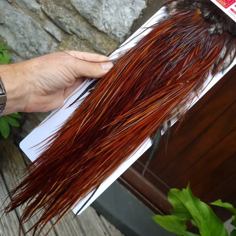 Whiting Pro-Grade Midge Rooster Saddle in Brown Medium to Dark Red Game A approx tying sizes Stuffed with 16/18/20/22/24/26 and out of sight-12