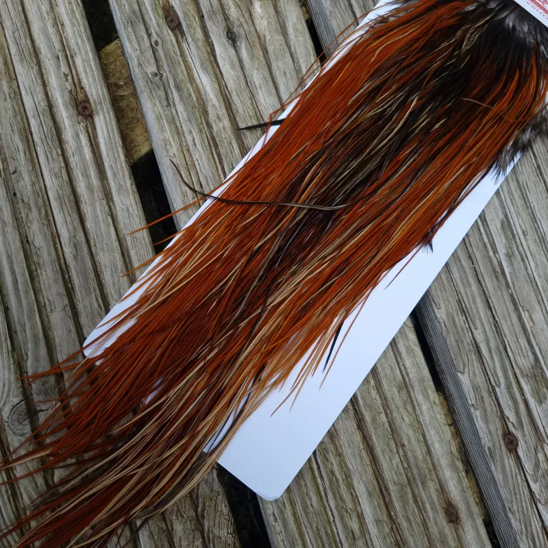 Whiting Pro-Grade Midge Rooster Saddle in Furnace B Tying Approx  Few14 and stuffed with 16 18 20 22 24 26 and out of sight-4