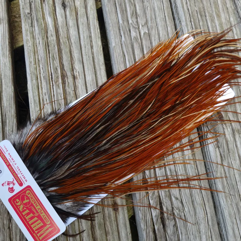 Whiting Pro-Grade Midge Rooster Saddle in Furnace B Tying Approx  Few14 and stuffed with 16 18 20 22 24 26 and out of sight-7