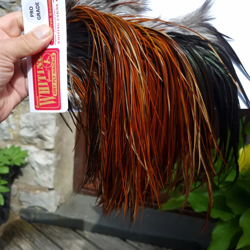 Whiting Pro-Grade Midge Rooster Saddle in Furnace B Tying Approx  Few14 and stuffed with 16 18 20 22 24 26 and out of sight-5