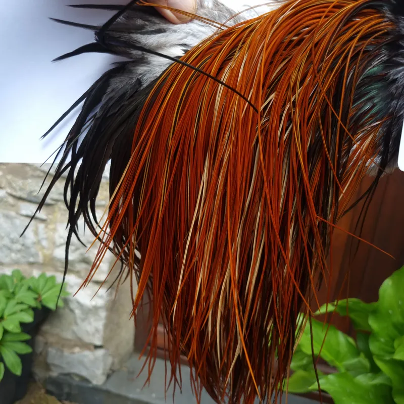 Whiting Pro-Grade Midge Rooster Saddle in Furnace B Tying Approx  Few14 and stuffed with 16 18 20 22 24 26 and out of sight-2