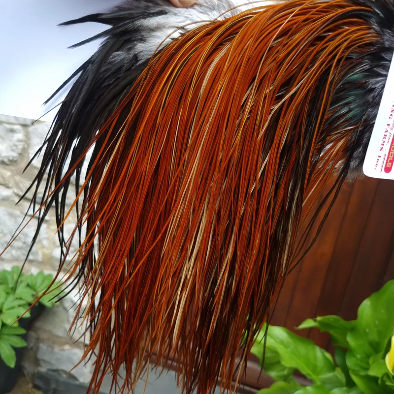 Whiting Pro-Grade Midge Rooster Saddle in Furnace B Tying Approx  Few14 and stuffed with 16 18 20 22 24 26 and out of sight