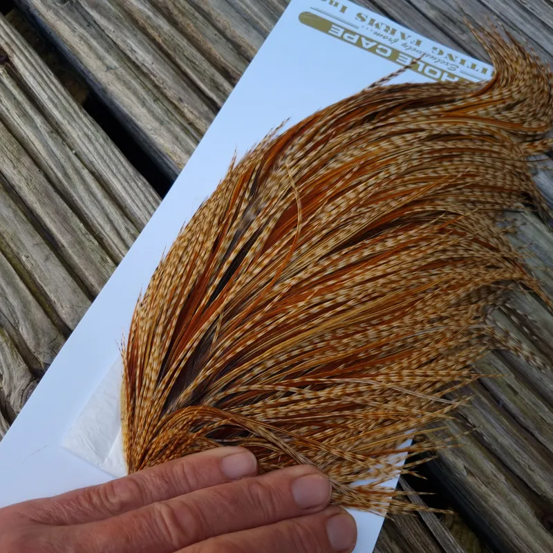 Whiting Heritage Hackles Rooster Cape in Mixed Colours R Barred Medium Ginger Splashed with Medium to Dark Ginger Hackles-7