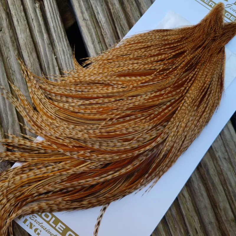 Whiting Heritage Hackles Rooster Cape in Mixed Colours R Barred Medium Ginger Splashed with Medium to Dark Ginger Hackles