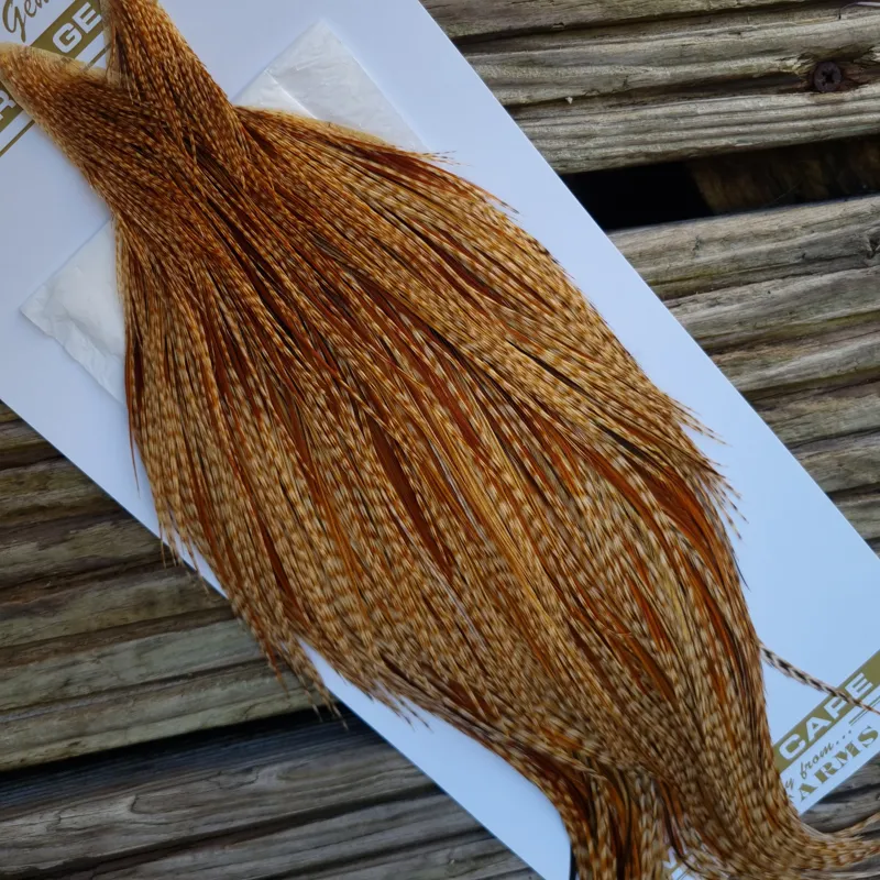 Whiting Heritage Hackles Rooster Cape in Mixed Colours R Barred Medium Ginger Splashed with Medium to Dark Ginger Hackles-8