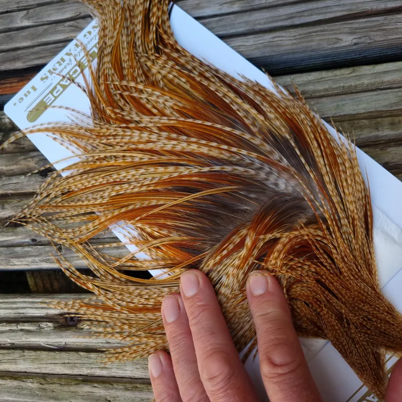 Whiting Heritage Hackles Rooster Cape in Mixed Colours R Barred Medium Ginger Splashed with Medium to Dark Ginger Hackles-9