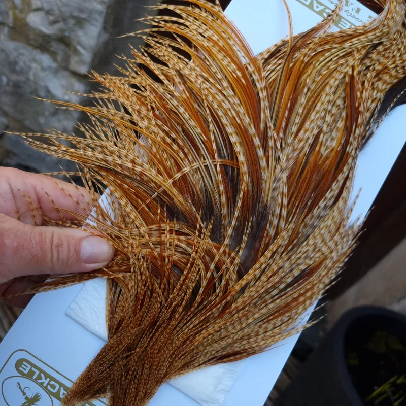 Whiting Heritage Hackles Rooster Cape in Mixed Colours R Barred Medium Ginger Splashed with Medium to Dark Ginger Hackles-1