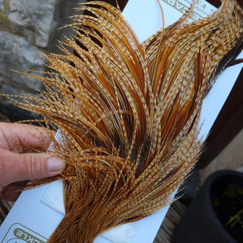 Whiting Heritage Hackles Rooster Cape in Mixed Colours R Barred Medium Ginger Splashed with Medium to Dark Ginger Hackles-5