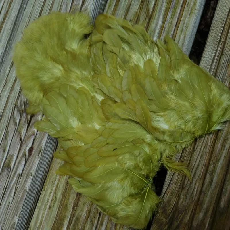 Whiting Rooster Soft Hackle with Chickabou in White Dyed Olive-1