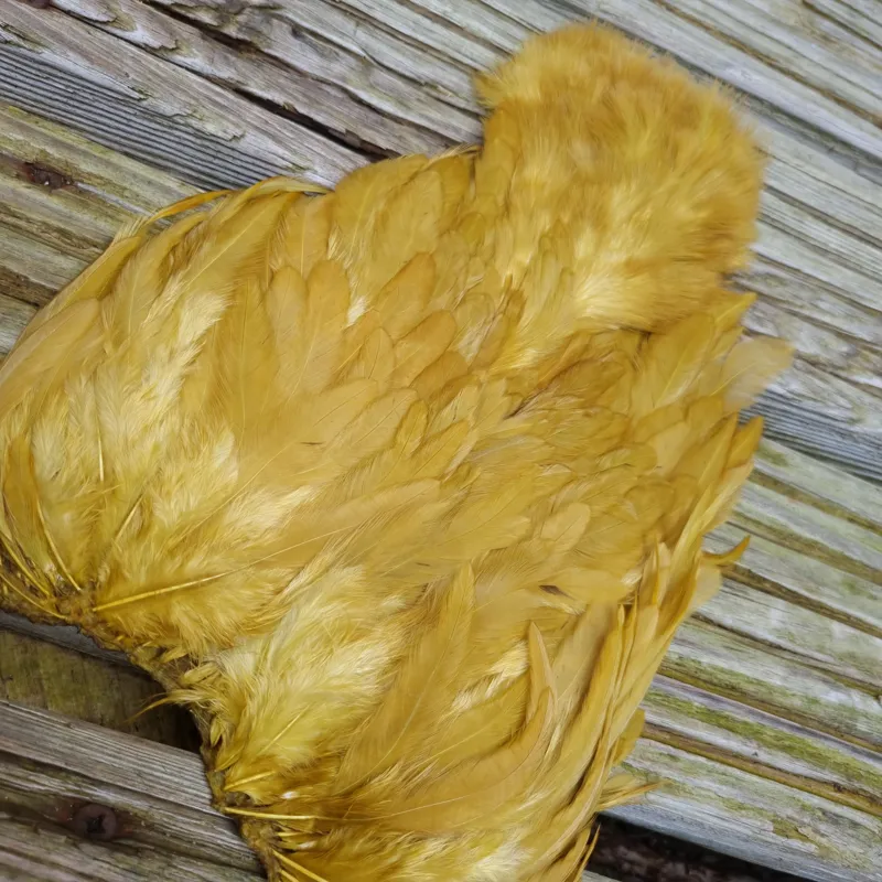 Whiting Rooster Soft Hackle with Chickabou in White dyed Golden Olive-1