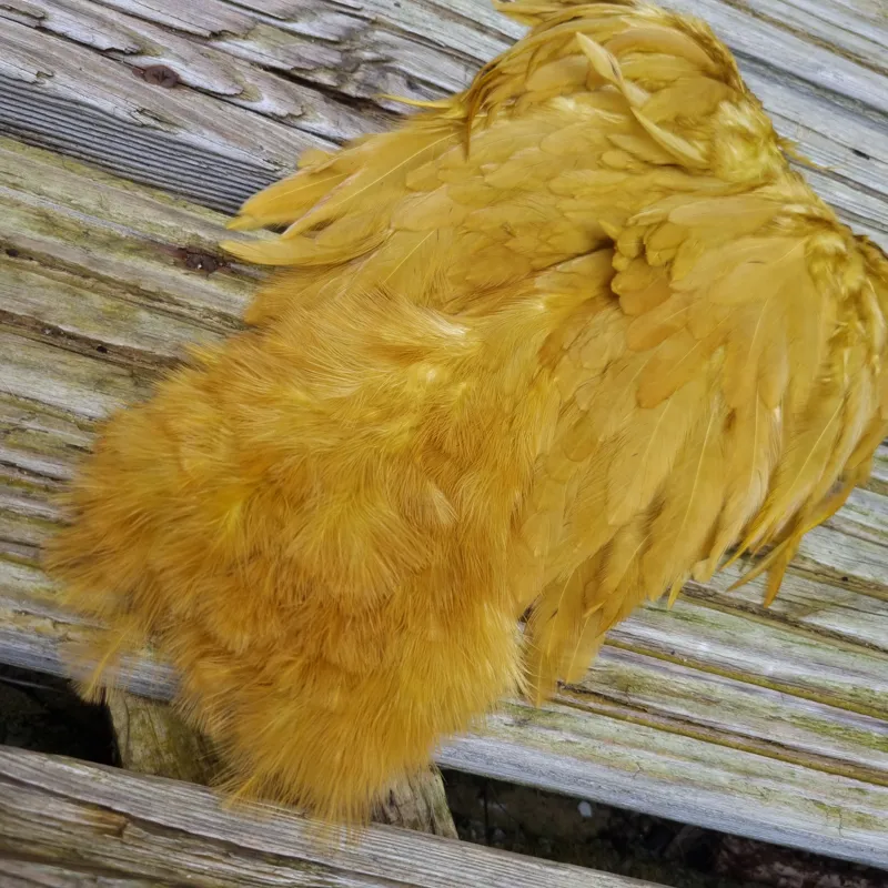 Whiting Rooster Soft Hackle with Chickabou in White dyed Golden Olive-2