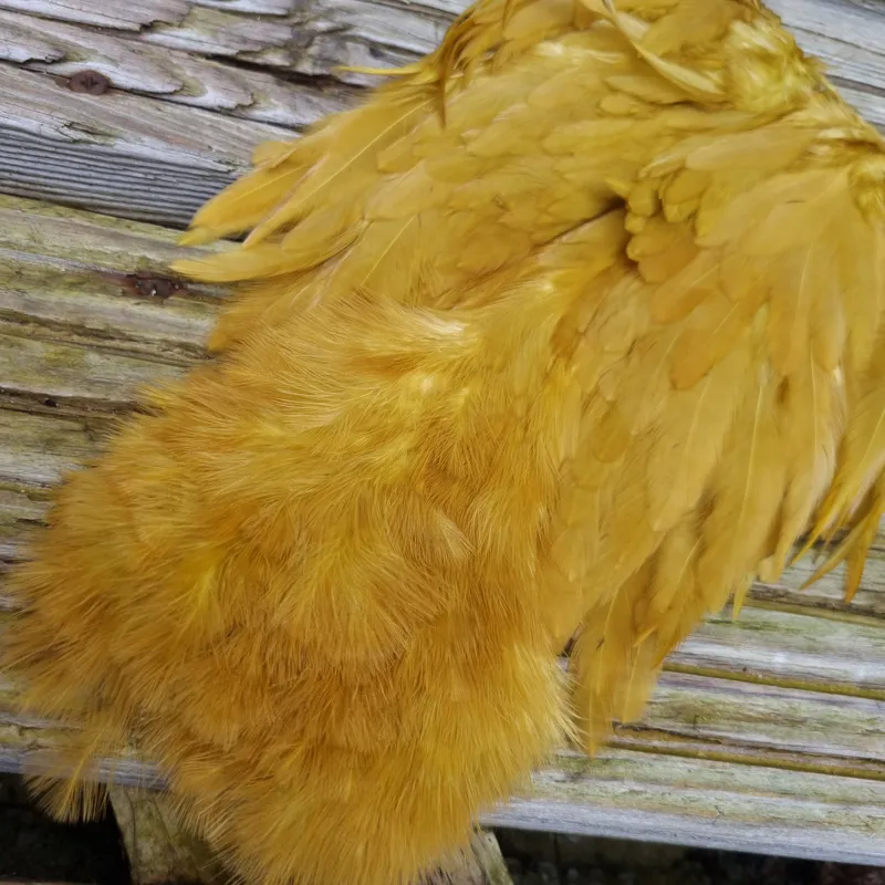 Whiting Rooster Soft Hackle with Chickabou in White dyed Golden Olive