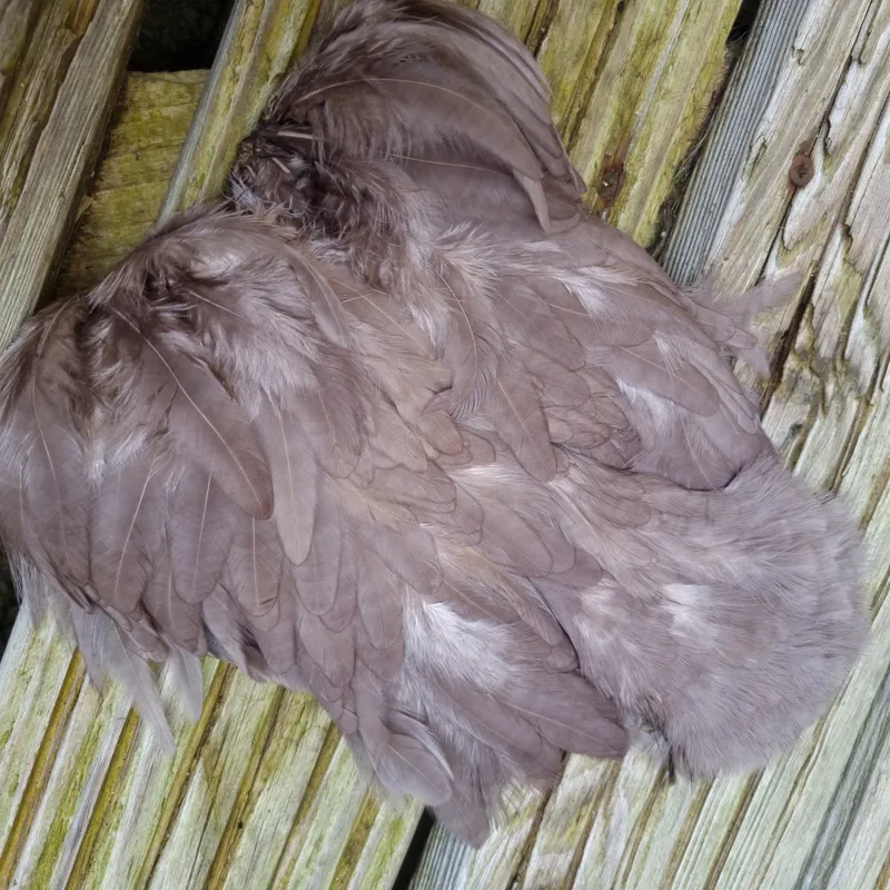 Whiting Rooster Soft Hackle with Chickabou in White dyed Heron Gray-2