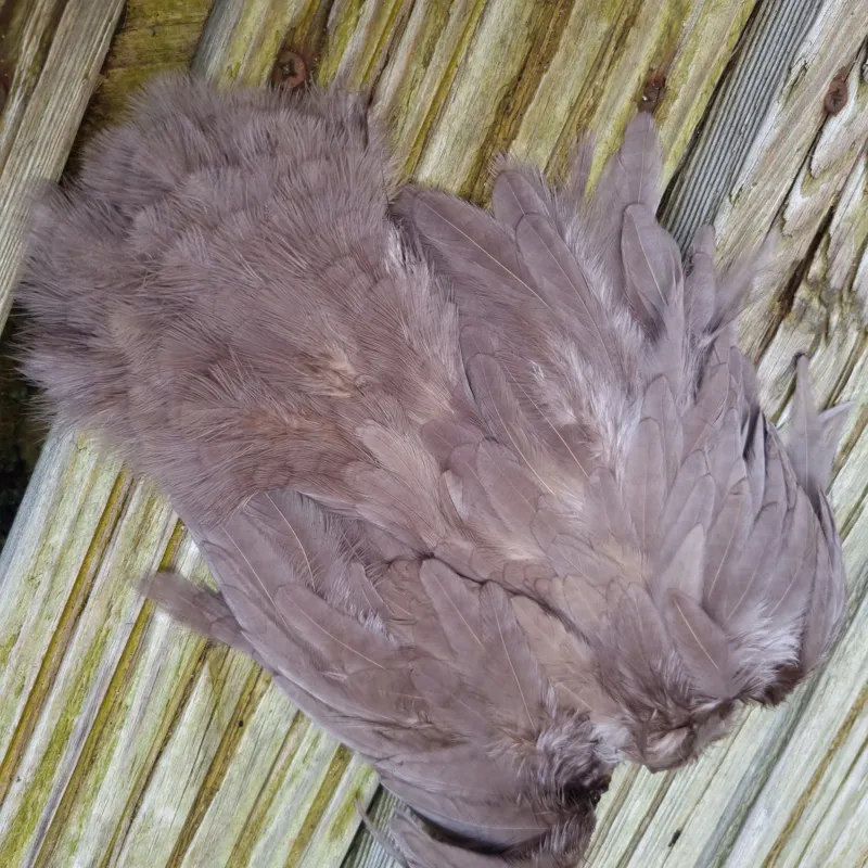 Whiting Rooster Soft Hackle with Chickabou in White dyed Heron Gray