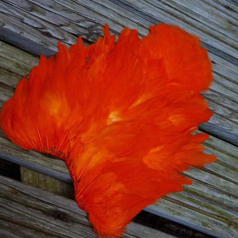 Whiting Rooster Soft Hackle with Chickabou in White dyed Orange-1