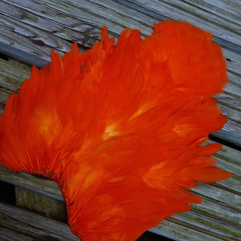 Whiting Rooster Soft Hackle with Chickabou in White dyed Orange-3
