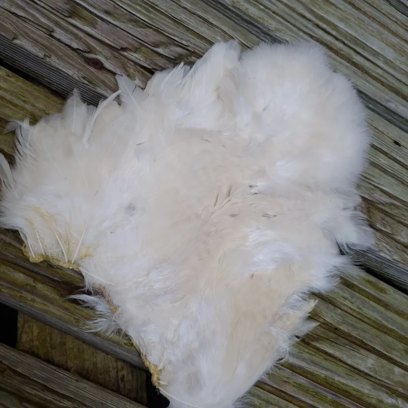 Whiting Rooster Soft Hackle with Chickabou in Natural White