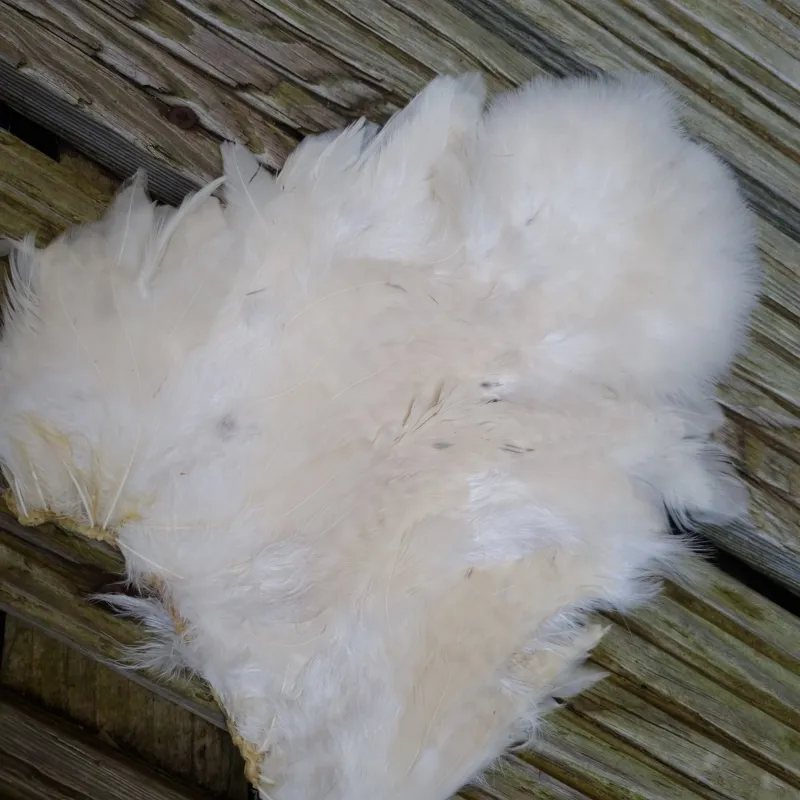 Whiting Rooster Soft Hackle with Chickabou in Natural White-2