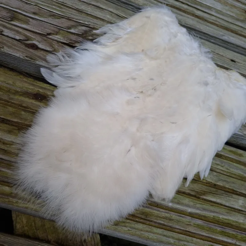 Whiting Rooster Soft Hackle with Chickabou in Natural White-1