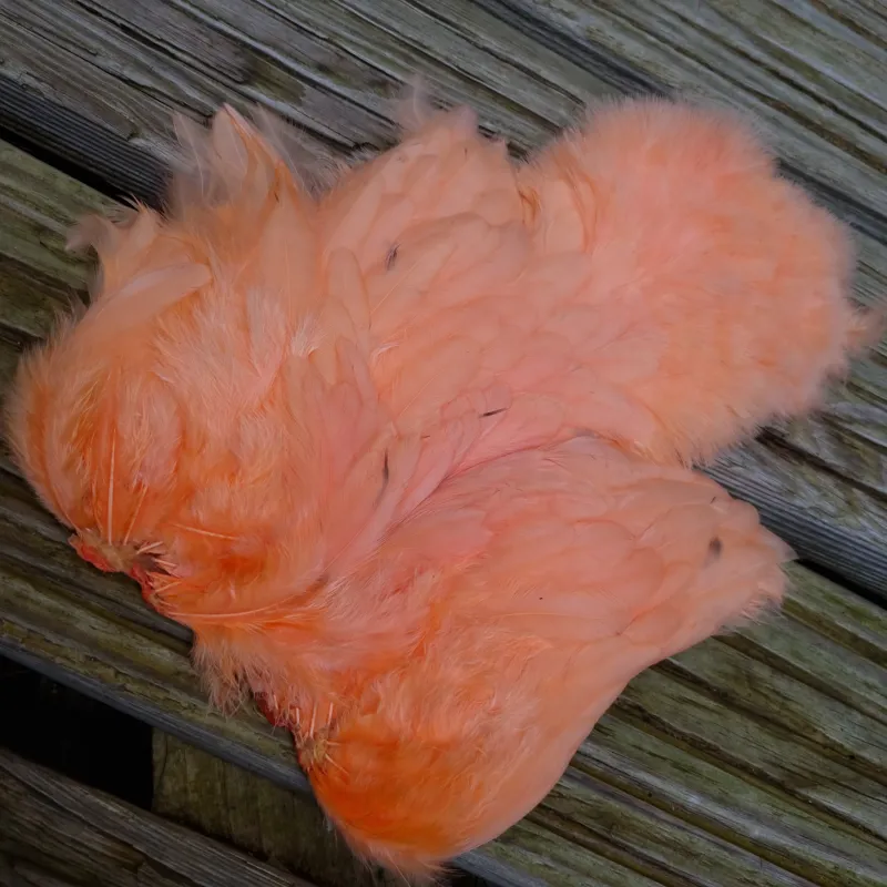 Whiting Rooster Soft Hackle with Chickabou in White dyed Salmon