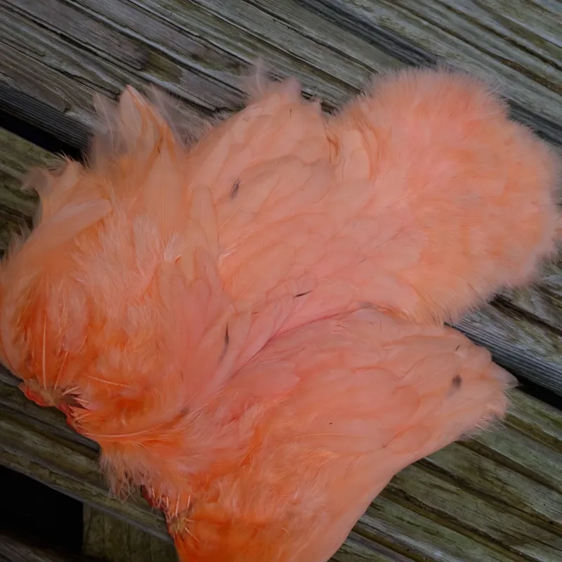 Whiting Rooster Soft Hackle with Chickabou in White dyed Salmon-2