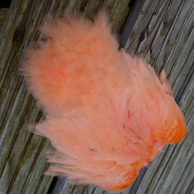 Whiting Rooster Soft Hackle with Chickabou in White dyed Salmon-1