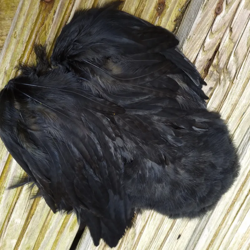 Whiting Rooster Soft Hackle with Chickabou in White dyed Black-2