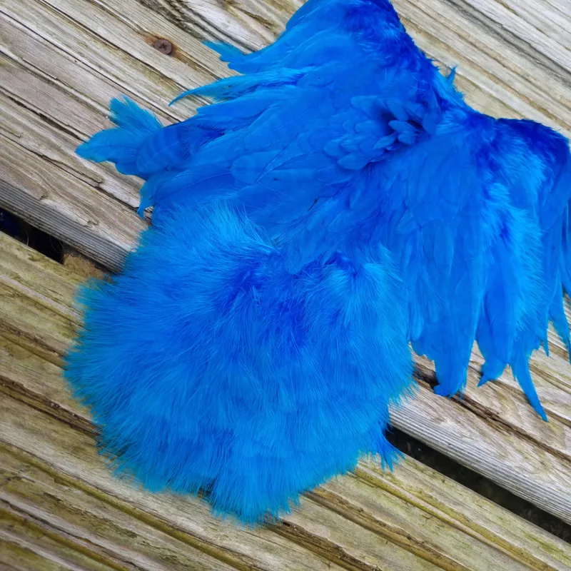 Whiting Rooster Soft Hackle with Chickabou in White dyed Kingfisher Blue