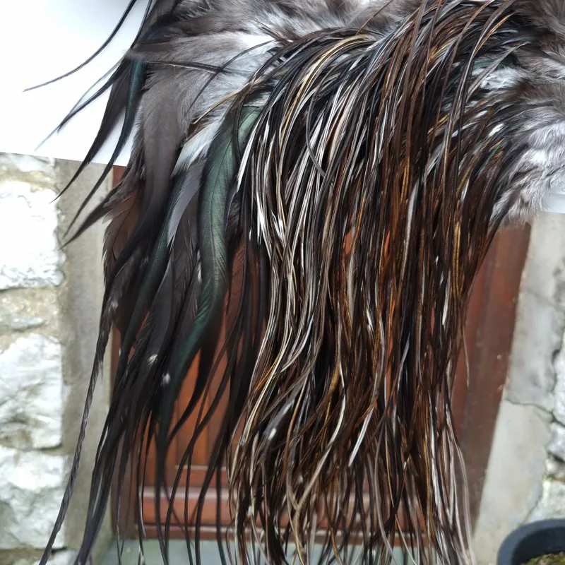 Whiting Heritage Hackles Rooster Saddle in Mixed Colours S Very Dark Chocolate Brown/ VERY Dark Speckled Badger/ Speckled Badger and splashed Unique Variant Hackles  Approx Tying Sizes 12/14/16-5