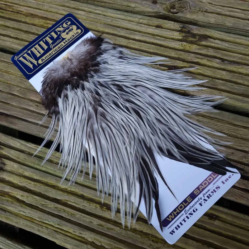 Whiting American Rooster Saddle in Silver Badger