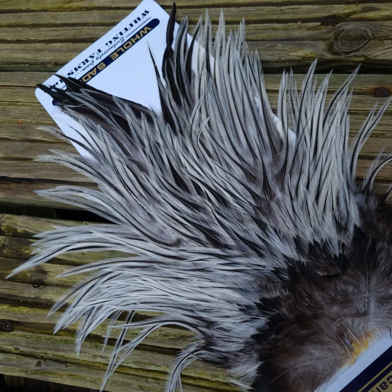 Whiting American Rooster Saddle in Silver Badger-1