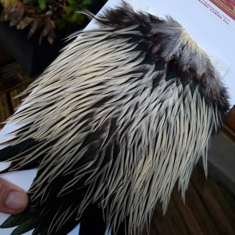 Whiting Brahma Rooster Saddle in Natural Silver Badger