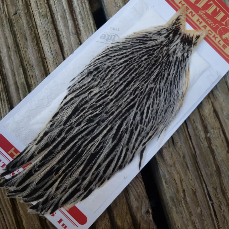 Whiting Hen Cape in Silver Badger C-2