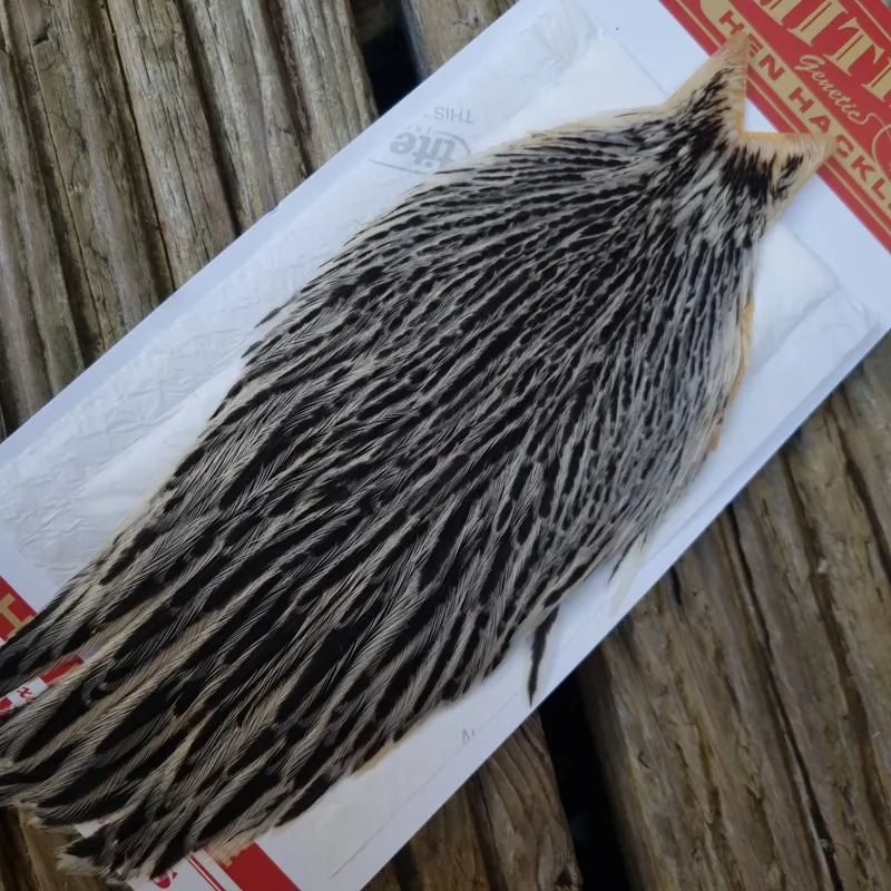 Whiting Hen Cape in Silver Badger C