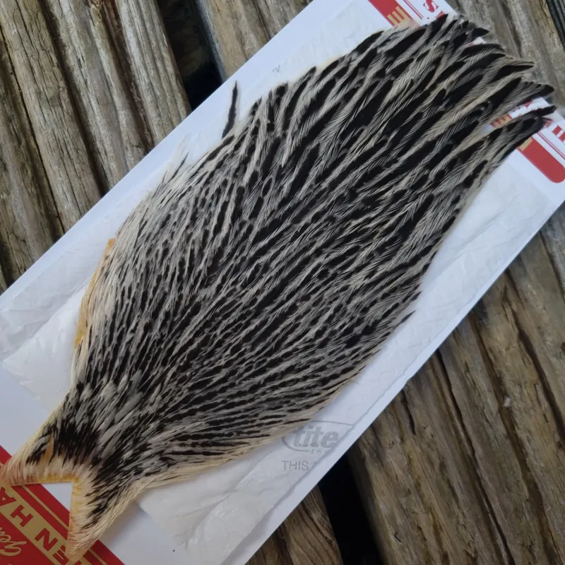 Whiting Hen Cape in Silver Badger C-3
