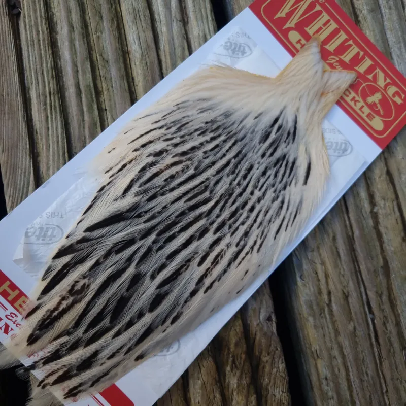Whiting Hen Cape in Silver Badger D-2