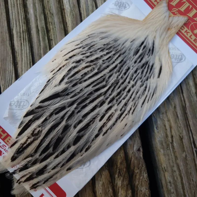 Whiting Hen Cape in Silver Badger D