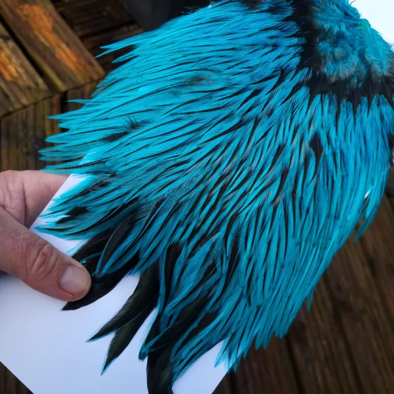 Whiting Brahma Rooster Saddle in Silver Badger Dyed Silver Dr.Blue-2