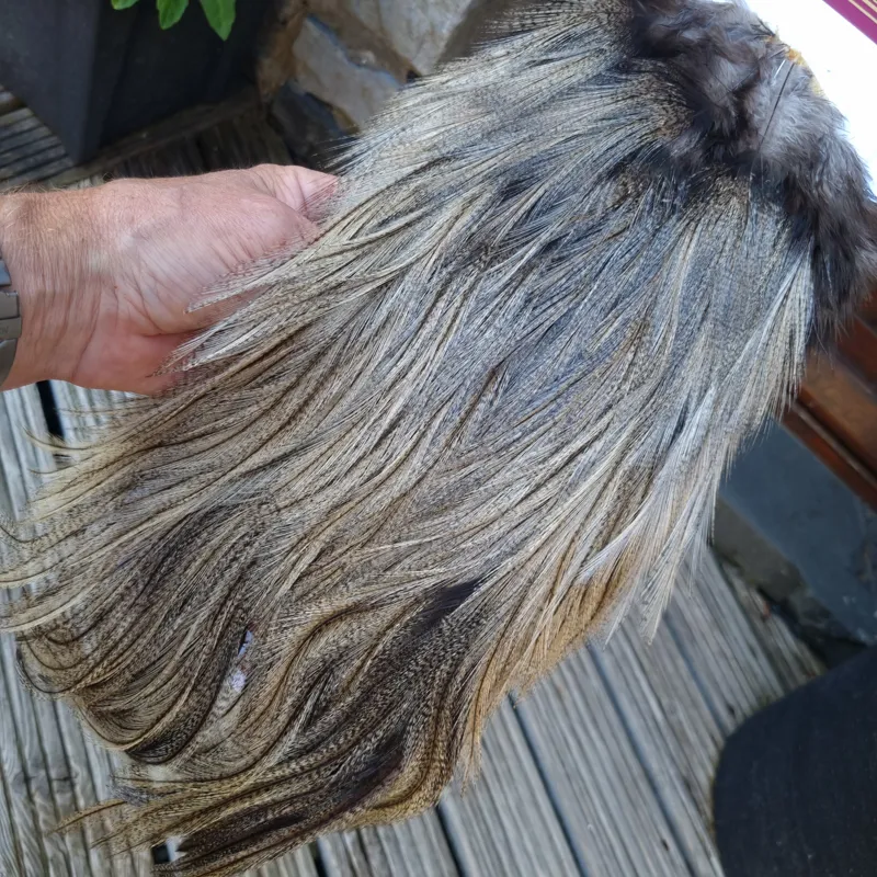 Whiting Coq de Leon Silver Grade Rooster Saddle in Light Pardo B