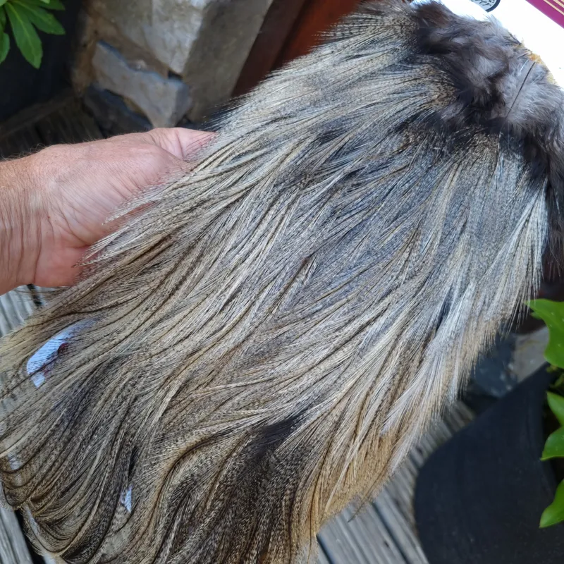 Whiting Coq de Leon Silver Grade Rooster Saddle in Light Pardo B-2