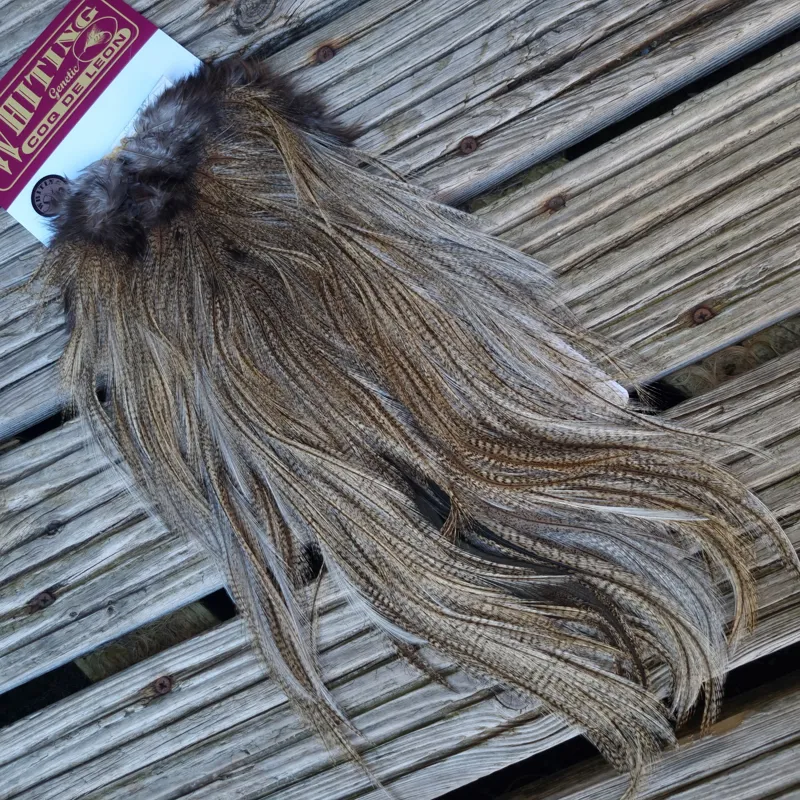 Whiting Coq de Leon Silver Grade Rooster Saddle in Light Pardo C-1