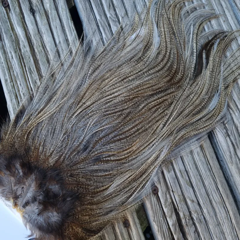 Whiting Coq de Leon Silver Grade Rooster Saddle in Light Pardo C-4