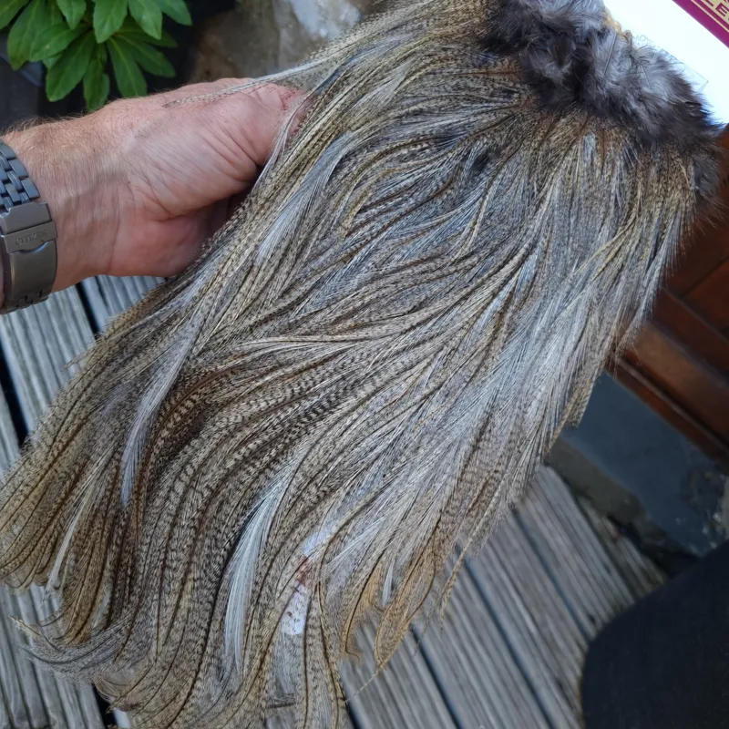 Whiting Coq de Leon Silver Grade Rooster Saddle in Light Pardo C