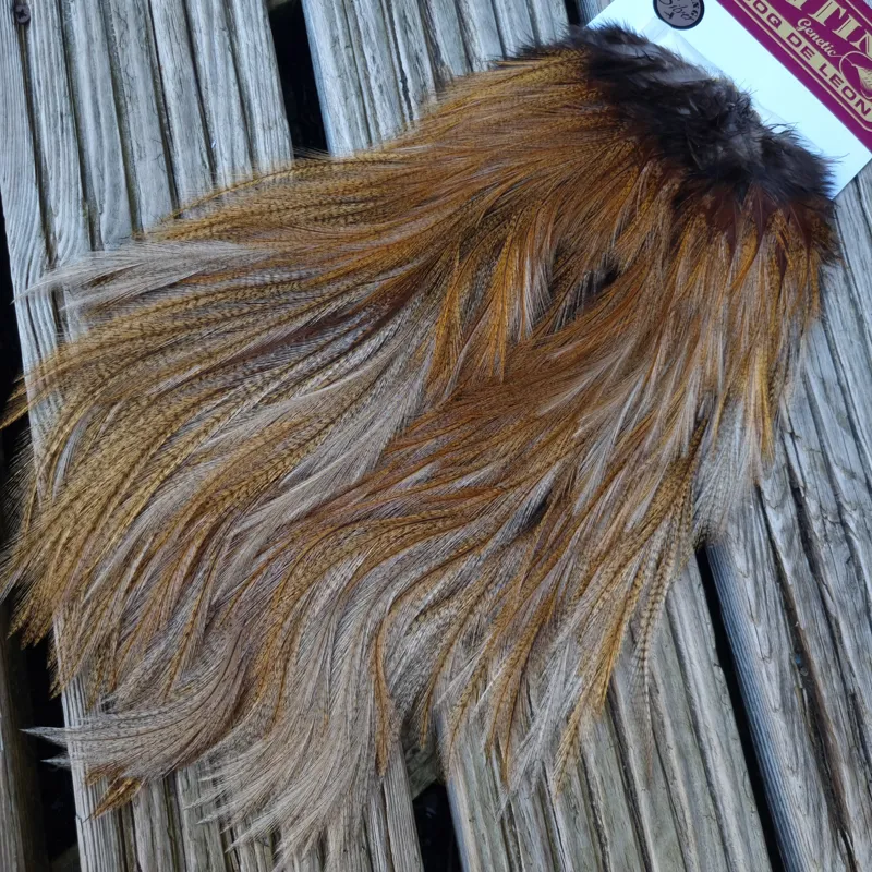 Whiting Coq de Leon Silver Grade Rooster Saddle in Ginger Pardo A-3